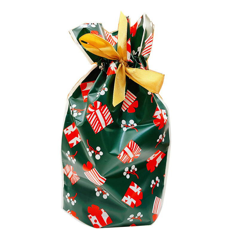 Plastic Loot Bag with Ribbon - Christmas (Pack of 10)