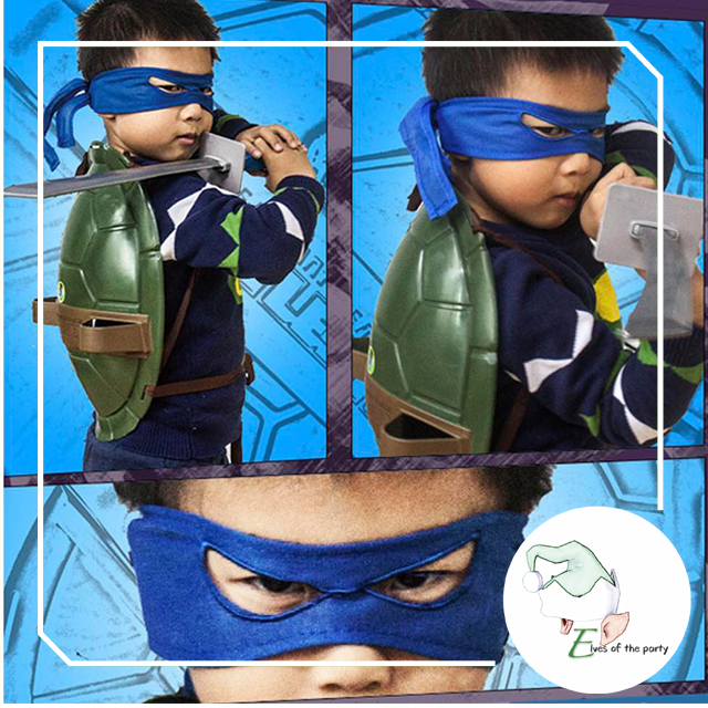 Teenage Mutant Ninja Turtles (TMNT) Shell Costume