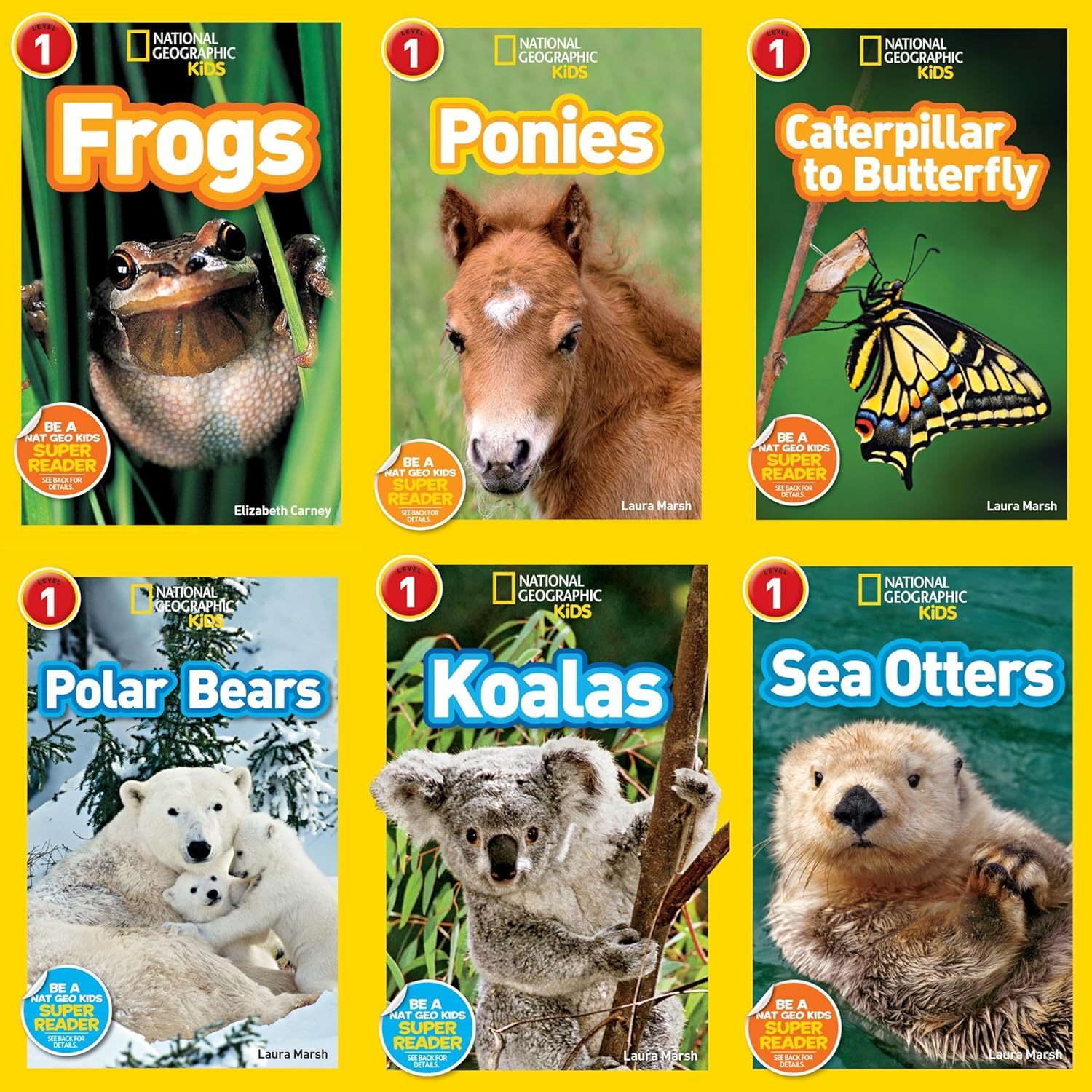 National Geographic Kids レベル1,2,3 National Geographic Kids Readers 6 Book Set (National Geographic