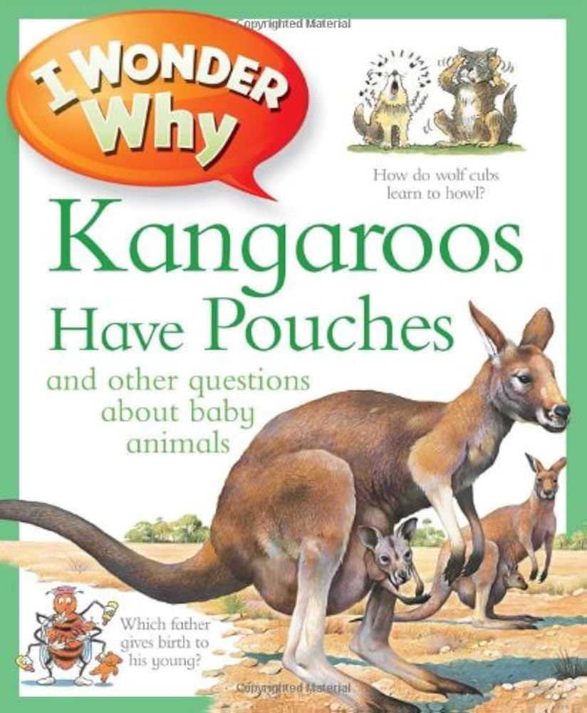 [Book] I Wonder Why Collection (4 Book Set)
