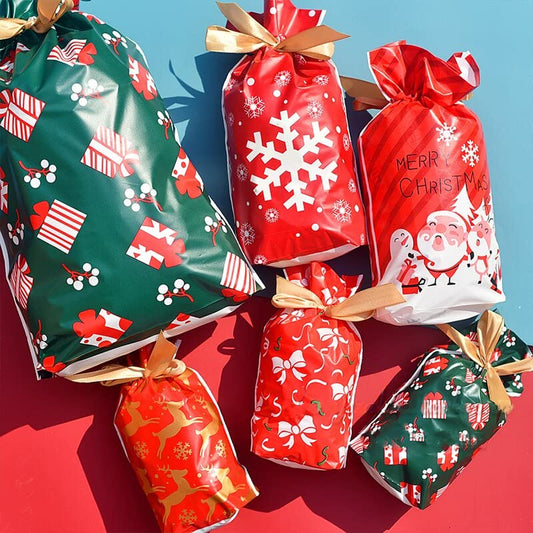 Plastic Loot Bag with Ribbon - Christmas (Pack of 10)