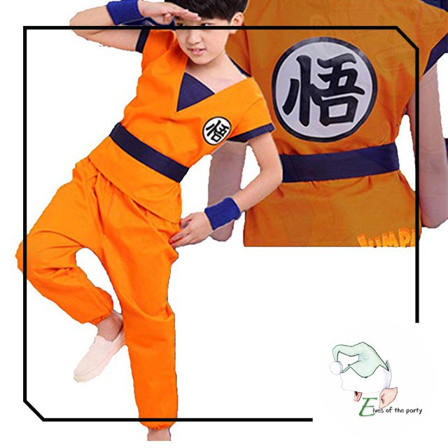 Dragon Ball Z Costume