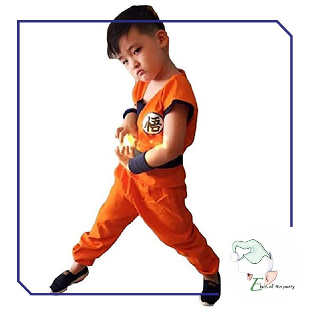 Dragon Ball Z Costume