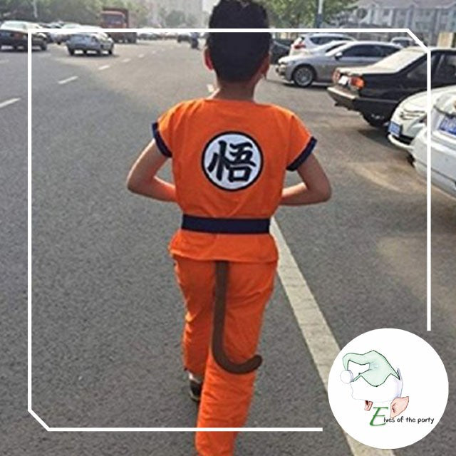 Dragon Ball Z Costume