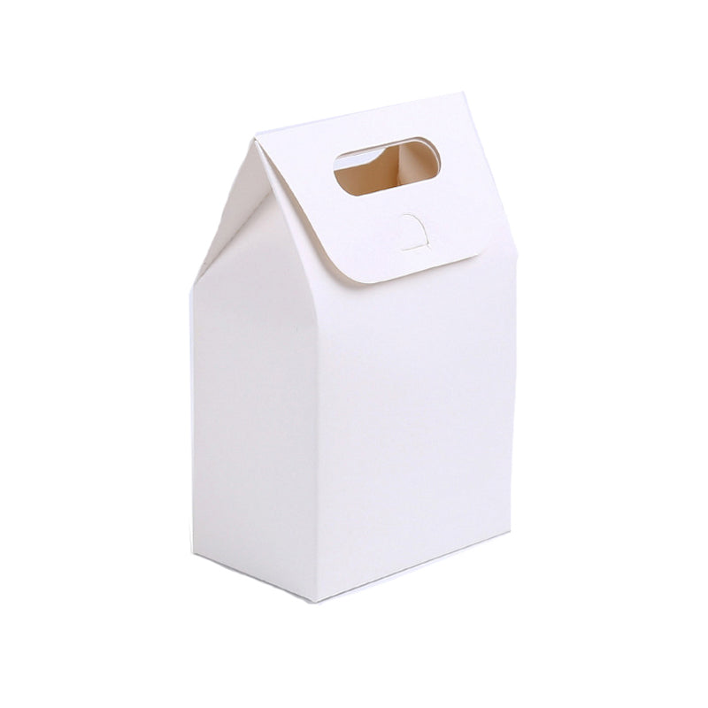 Plain White / Brown Kraft Paper Bag with Flap and Handle