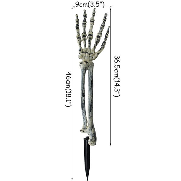 Halloween Decor: Skeleton Skull and Hands