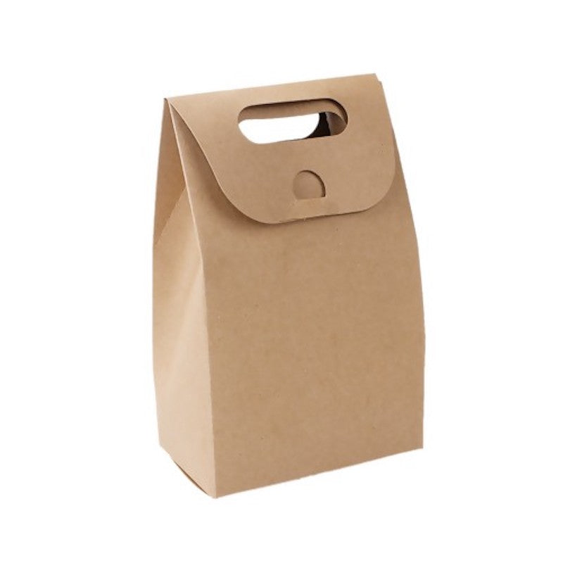 Plain White / Brown Kraft Paper Bag with Flap and Handle